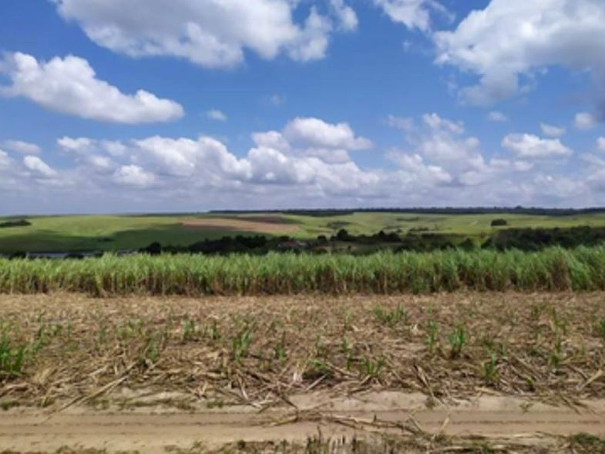 Imagem 2 do Leilão de Fazenda - Fazenda Sao Jose - Mamanguape/PB