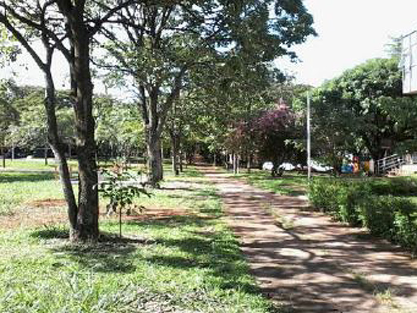 Imagem 4 do Leilão de Terreno - Asa Norte - Brasília/DF