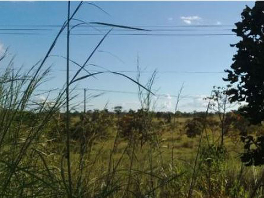 Imagem 4 do Leilão de Terreno - Pov. Moreira - Itapecuru Mirim/MA