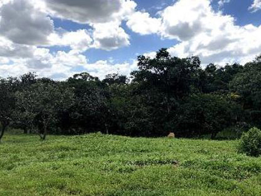 Imagem 3 do Leilão de Terreno - Zona Rural - Boituva/SP