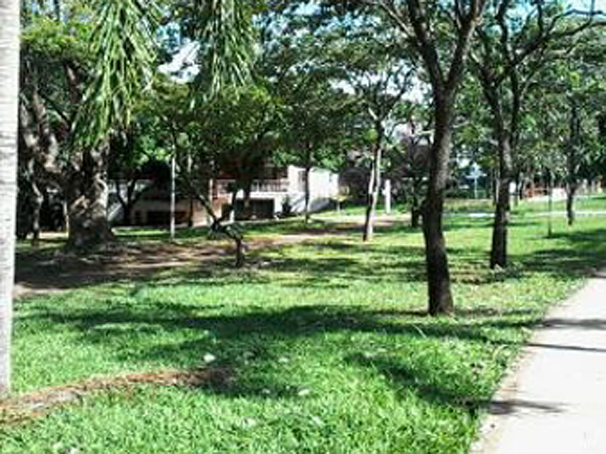 Imagem 7 do Leilão de Terreno - Asa Norte - Brasília/DF
