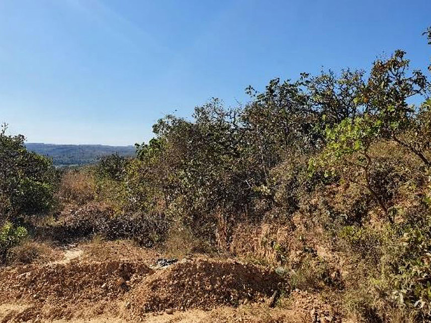 Imagem 2 do Leilão de Fazenda - Fazenda Campo Alegra - Jaboticatubas/MG