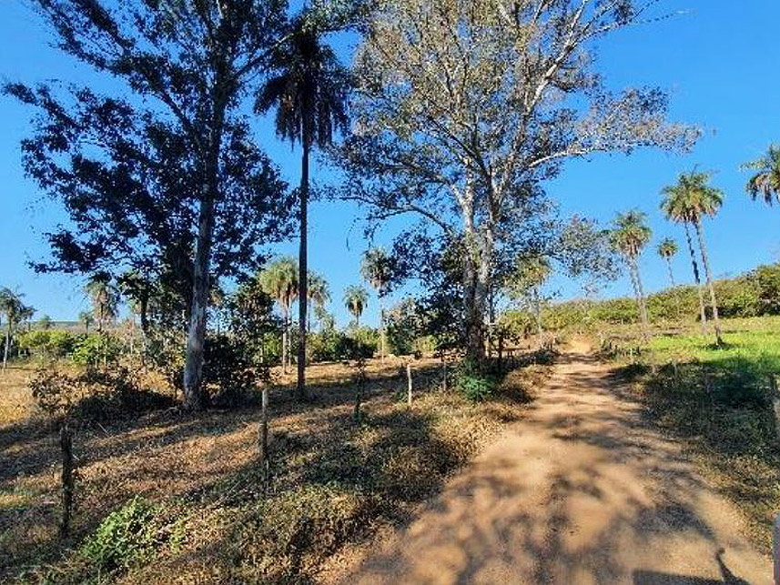 Imagem 8 do Leilão de Fazenda - Fazenda Campo Alegra - Jaboticatubas/MG