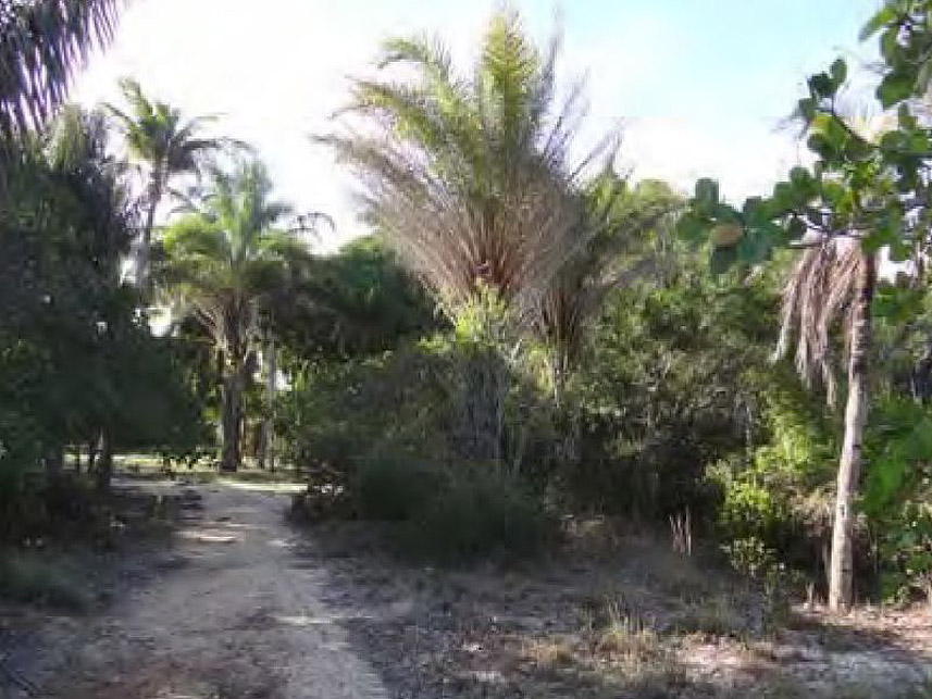 Imagem 2 do Leilão de Fazenda - Rural - Santa Cruz Cabrália/BA