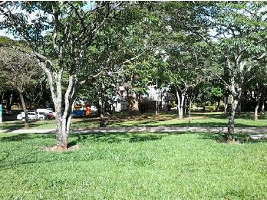 Imagem 5 do Leilão de Terreno - Asa Norte - Brasília/DF