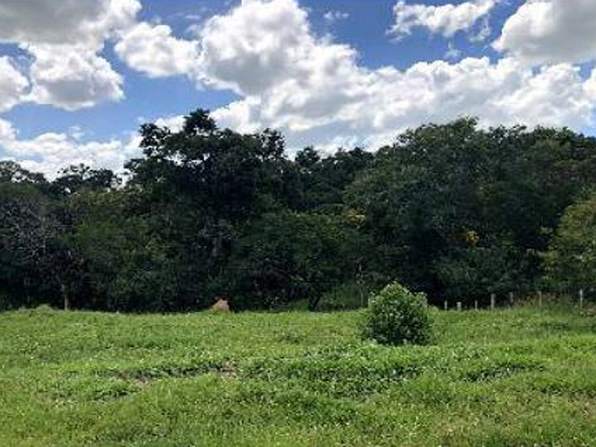 Imagem 5 do Leilão de Terreno - Zona Rural - Boituva/SP