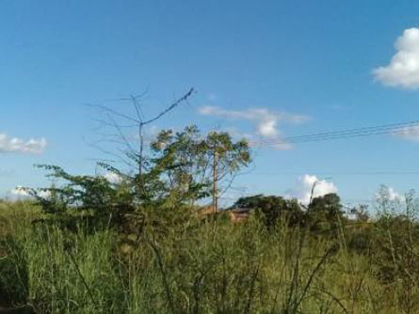 Imagem 2 do Leilão de Terreno - Pov. Moreira - Itapecuru Mirim/MA