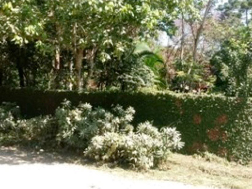 Imagem 4 do Leilão de Chácara - Chácaras Boa Vista - Santa Isabel/SP