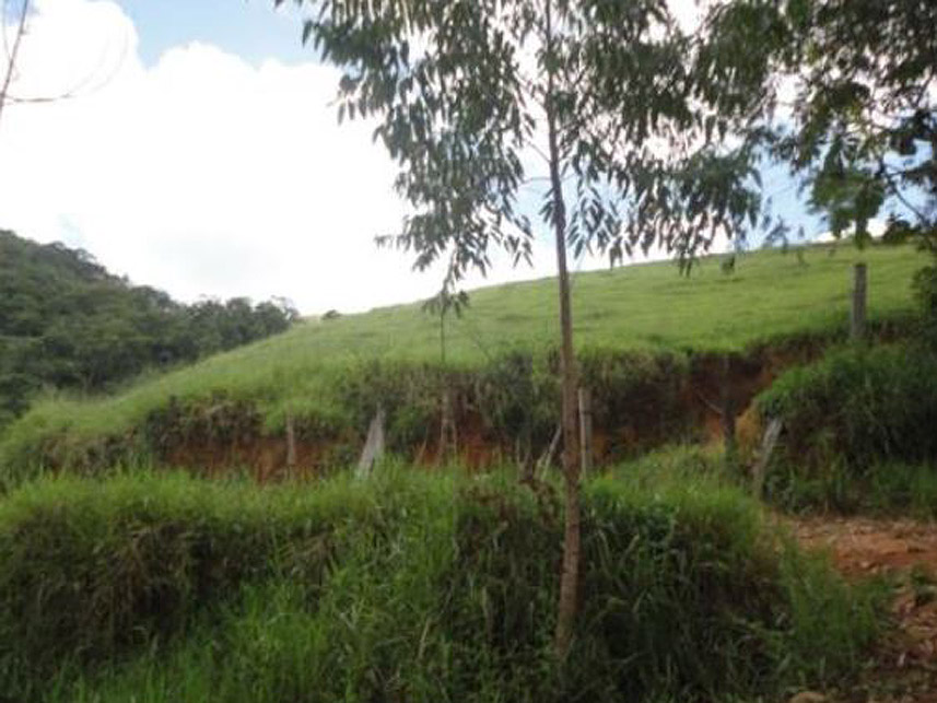 Imagem 3 do Leilão de Área Rural - Dores da Vitória - Miraí/MG