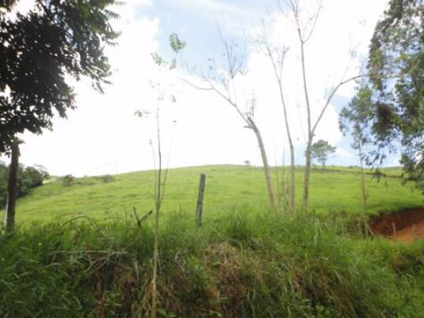 Imagem 4 do Leilão de Área Rural - Dores da Vitória - Miraí/MG