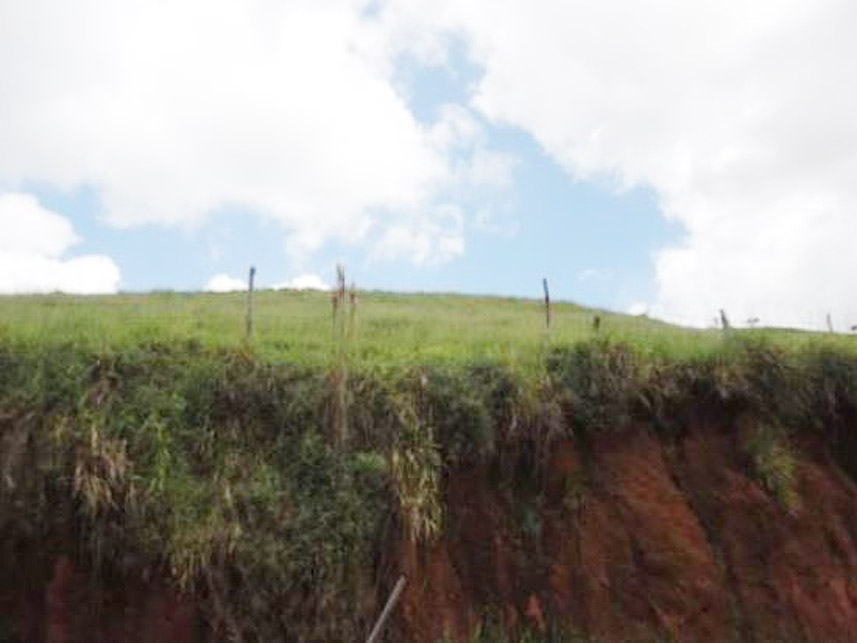 Imagem 2 do Leilão de Área Rural - Dores da Vitória - Miraí/MG