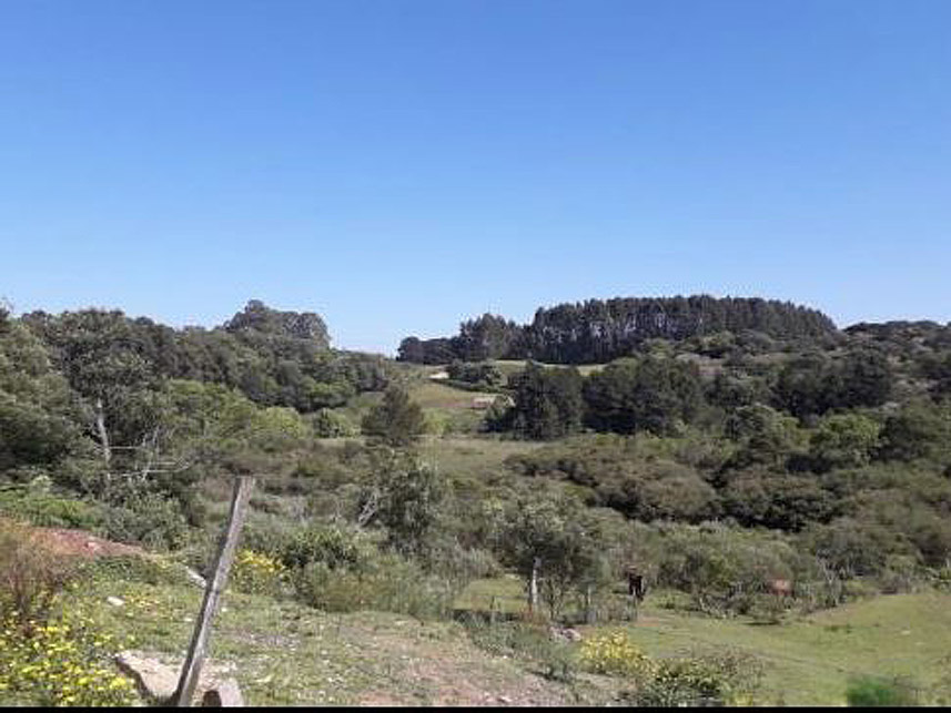 Imagem  do Leilão de Terreno - Serrano - Caxias do Sul/RS