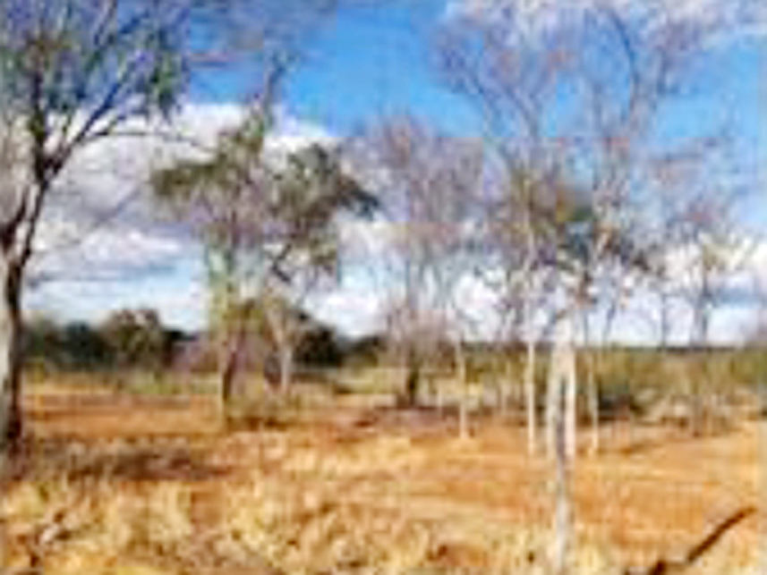 Imagem 6 do Leilão de Área Rural - Fazenda Caprichosa - Jaíba/MG