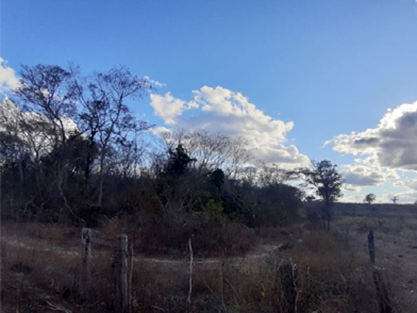 Imagem 1 do Leilão de Área Rural - Fazenda Caprichosa - Jaíba/MG