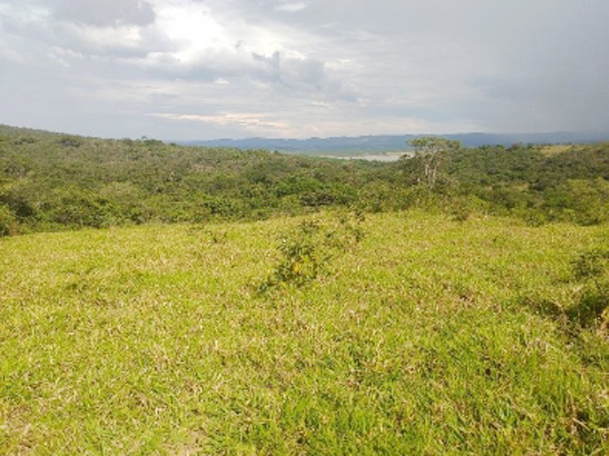 Imagem 3 do Leilão de Área Rural - Mundo Novo - Guapé/MG