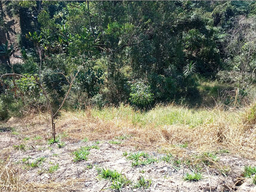 Imagem 10 do Leilão de Terreno - Chácara do Solar Ii - Santana de Parnaíba/SP
