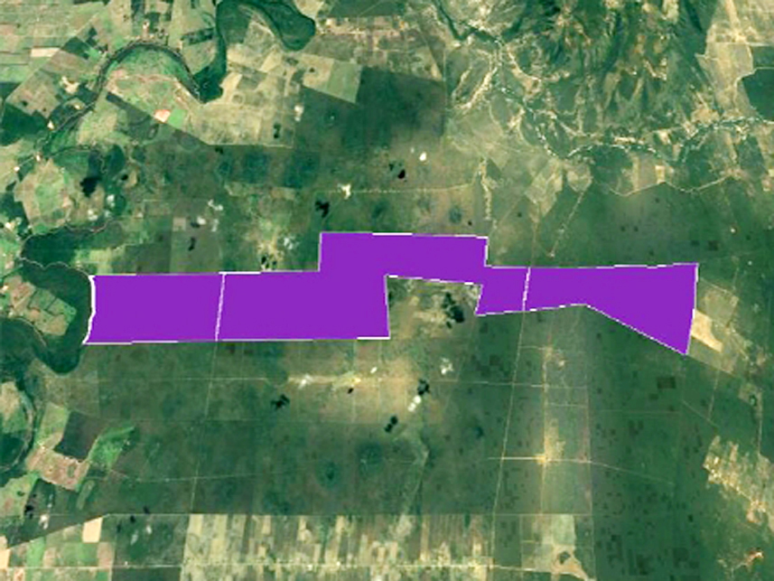 Imagem 2 do Leilão de Área Rural - Fazenda Caprichosa - Jaíba/MG