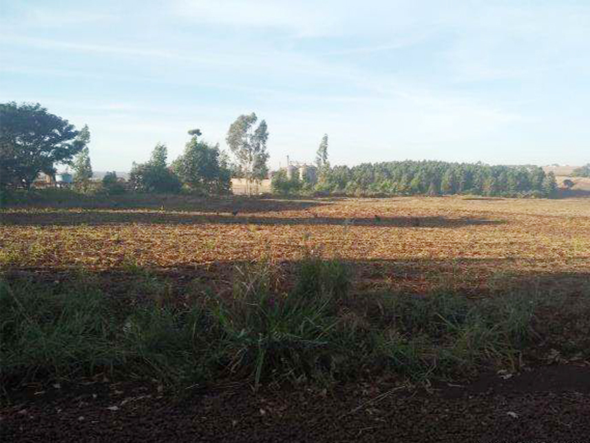 Imagem 1 do Leilão de Terreno - Jardim Paraná - Assis Chateaubriand/PR