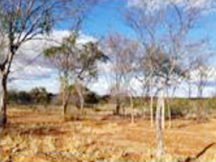 Imagem 4 do Leilão de Área Rural - Fazenda Caprichosa - Jaíba/MG