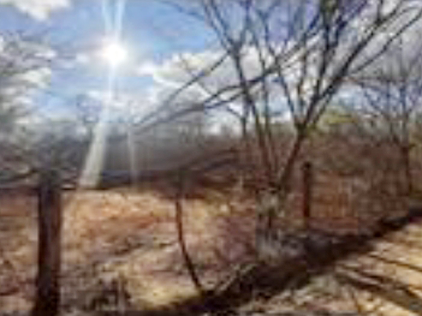 Imagem 7 do Leilão de Área Rural - Fazenda Caprichosa - Jaíba/MG