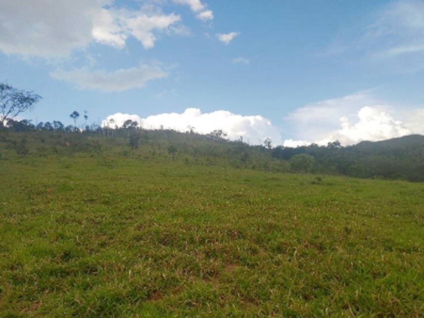 Imagem 7 do Leilão de Área Rural - Mundo Novo - Guapé/MG