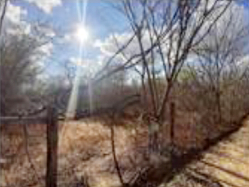 Imagem 5 do Leilão de Área Rural - Fazenda Caprichosa - Jaíba/MG