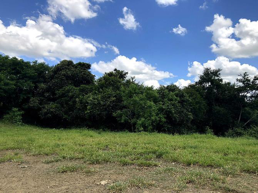 Imagem 1 do Leilão de Área Rural - Zona Rural - Boituva/SP