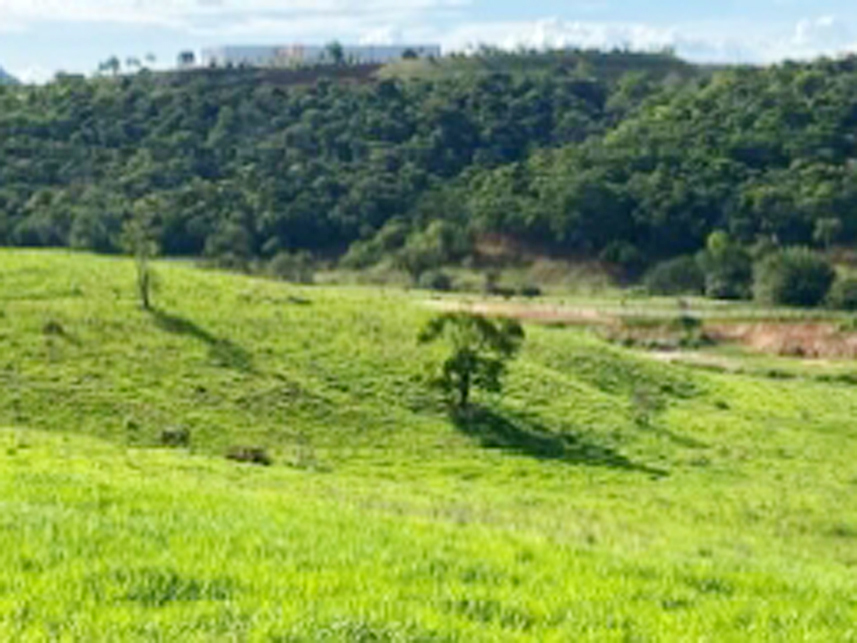 Imagem 3 do Leilão de Terreno - Polo Industrial Mário Cassani - Baunilha/ES