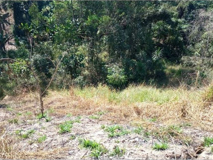 Imagem 11 do Leilão de Terreno - Chácara do Solar Ii - Santana de Parnaíba/SP