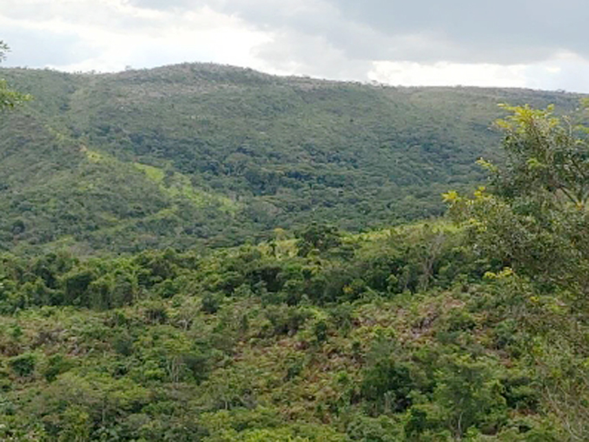 Imagem 6 do Leilão de Área Rural - Mundo Novo - Guapé/MG