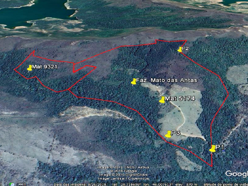 Imagem 2 do Leilão de Área Rural - Mundo Novo - Guapé/MG