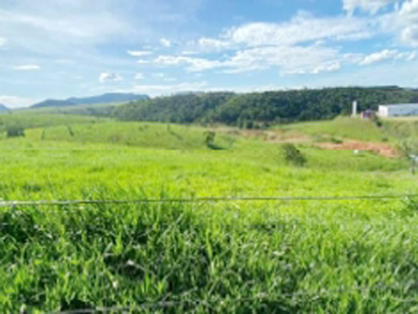 Imagem 2 do Leilão de Terreno - Polo Industrial Mário Cassani - Baunilha/ES