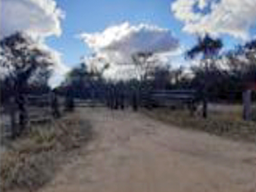 Imagem 3 do Leilão de Área Rural - Fazenda Caprichosa - Jaíba/MG