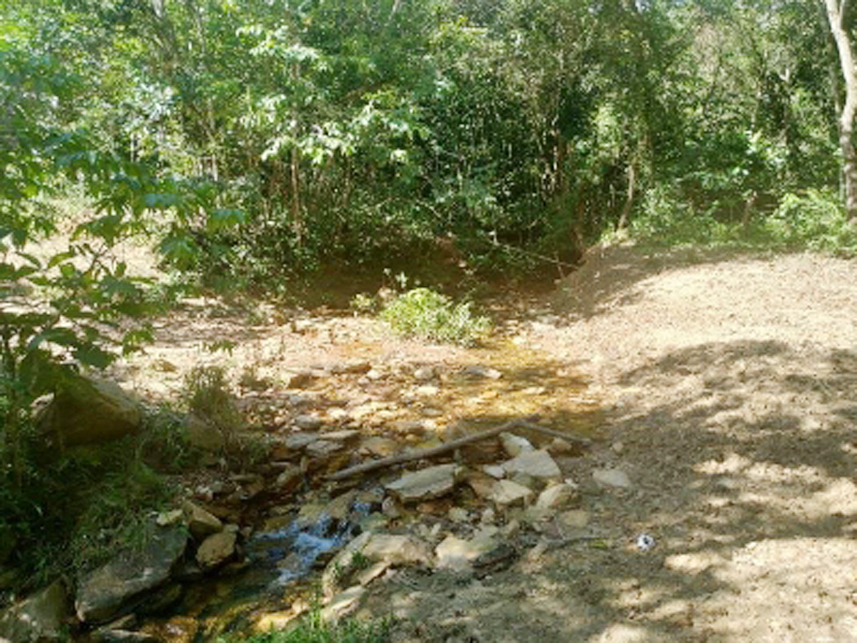 Imagem 4 do Leilão de Área Rural - Mundo Novo - Guapé/MG