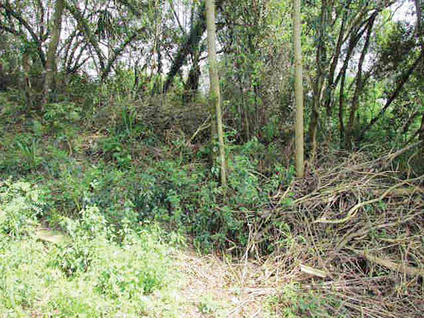 Imagem 5 do Leilão de Terreno - Fazendinha - Curitiba/PR