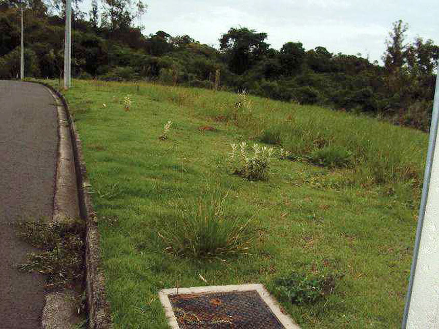 Imagem 6 do Leilão de Terreno - Engenho Velho - Porto Feliz/SP