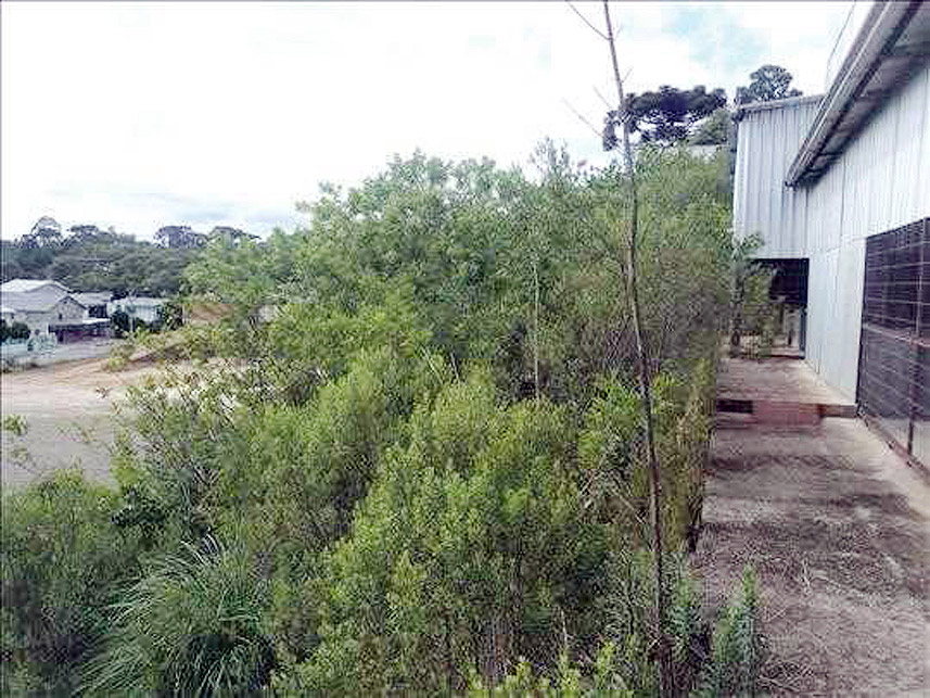 Imagem 3 do Leilão de Prédio Industrial - Ana Rech - Caxias do Sul/RS