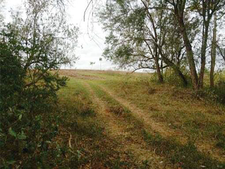 Imagem 5 do Leilão de Área Rural - Santo Inácio - Pardinho/SP