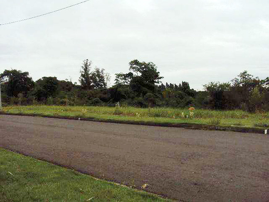 Imagem 4 do Leilão de Terreno - Engenho Velho - Porto Feliz/SP