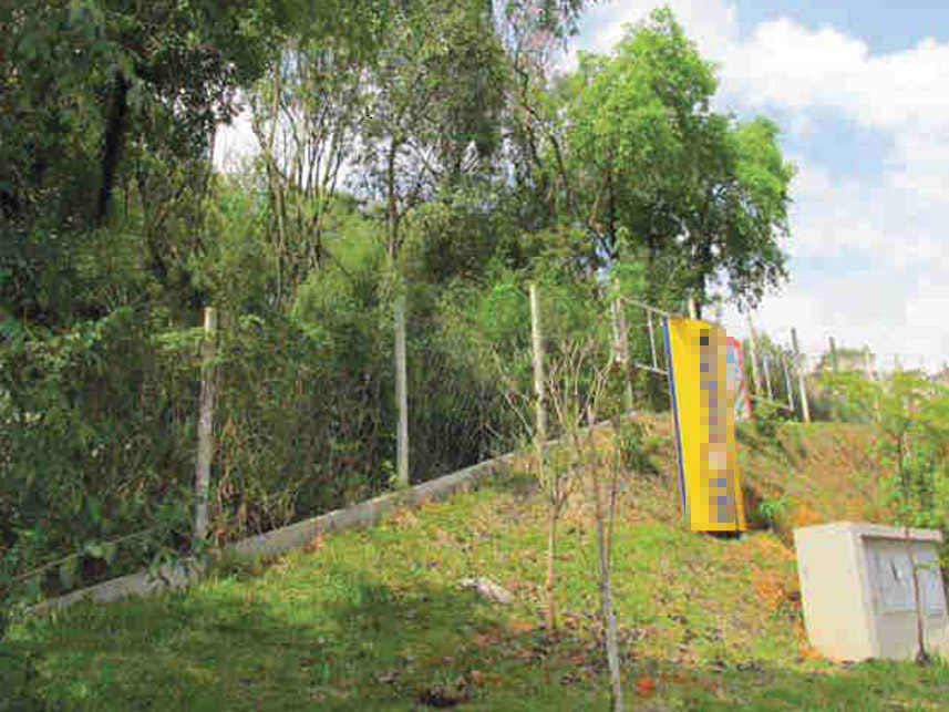 Imagem 4 do Leilão de Terreno - Fazendinha - Curitiba/PR