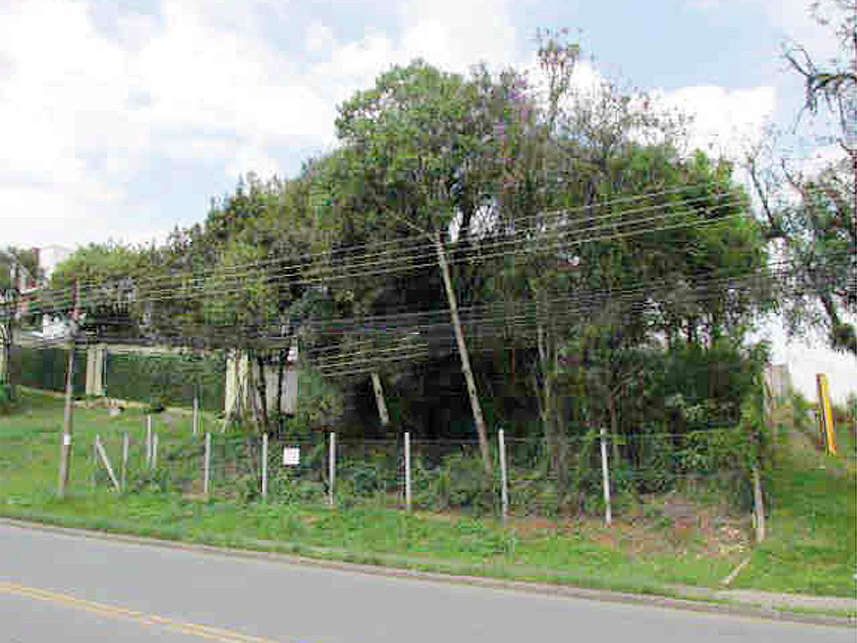 Imagem 3 do Leilão de Terreno - Fazendinha - Curitiba/PR