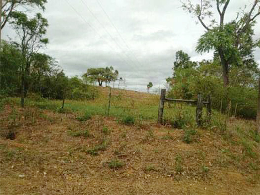 Imagem 4 do Leilão de Área Rural - Santo Inácio - Pardinho/SP