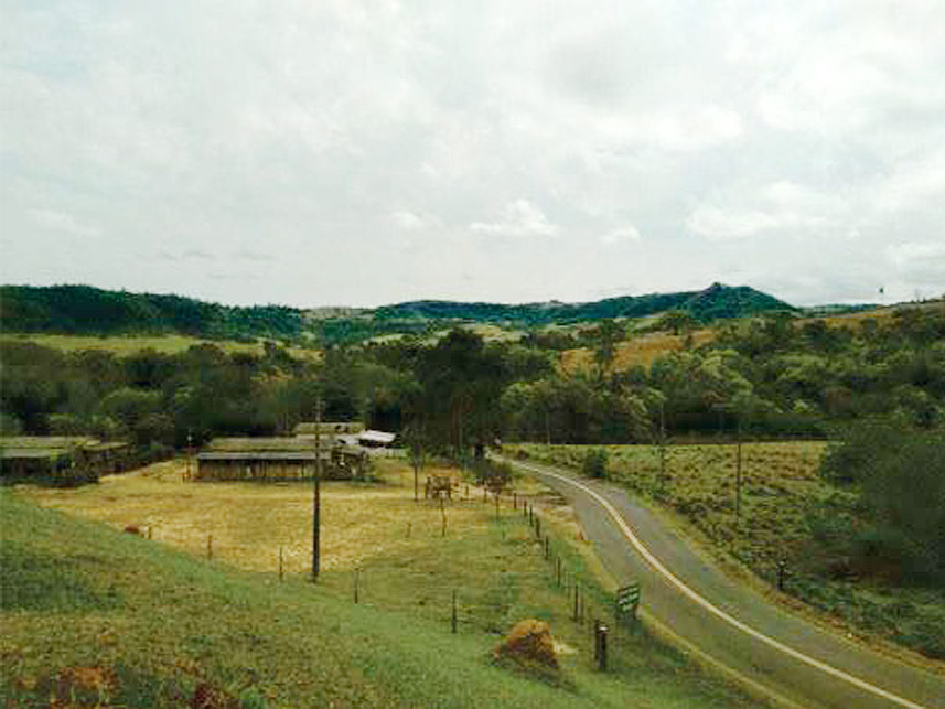Imagem 3 do Leilão de Área Rural - Santo Inácio - Pardinho/SP