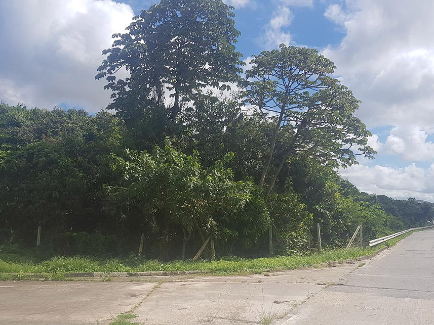 Imagem  do Leilão de Terreno - Distrito Industrial de Suape - Cabo de Santo Agostinho/PE