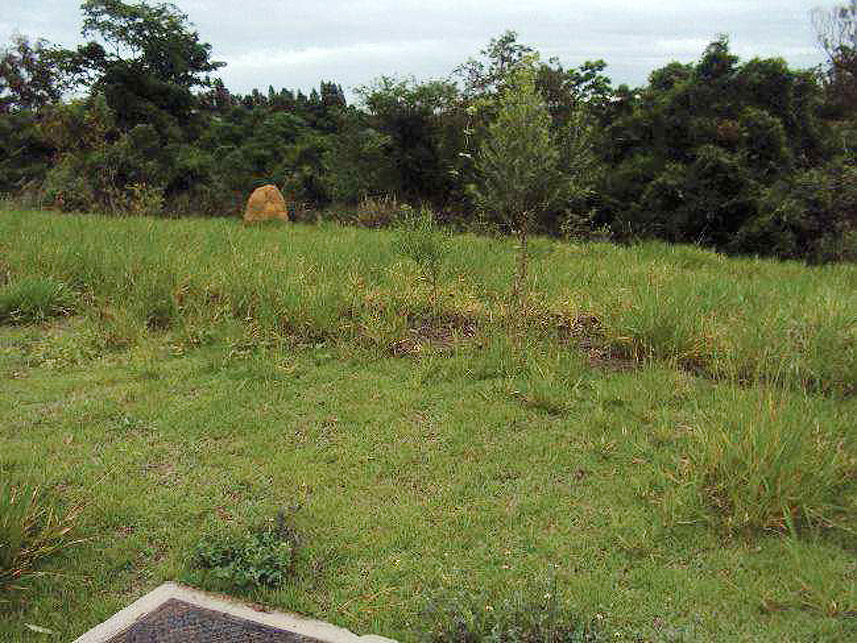 Imagem 5 do Leilão de Terreno - Engenho Velho - Porto Feliz/SP