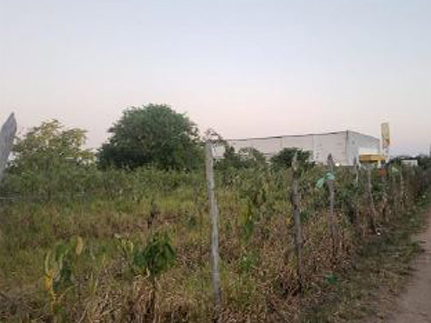 Imagem 5 do Leilão de Terreno - Barro Santa Amélia - Maceió/AL
