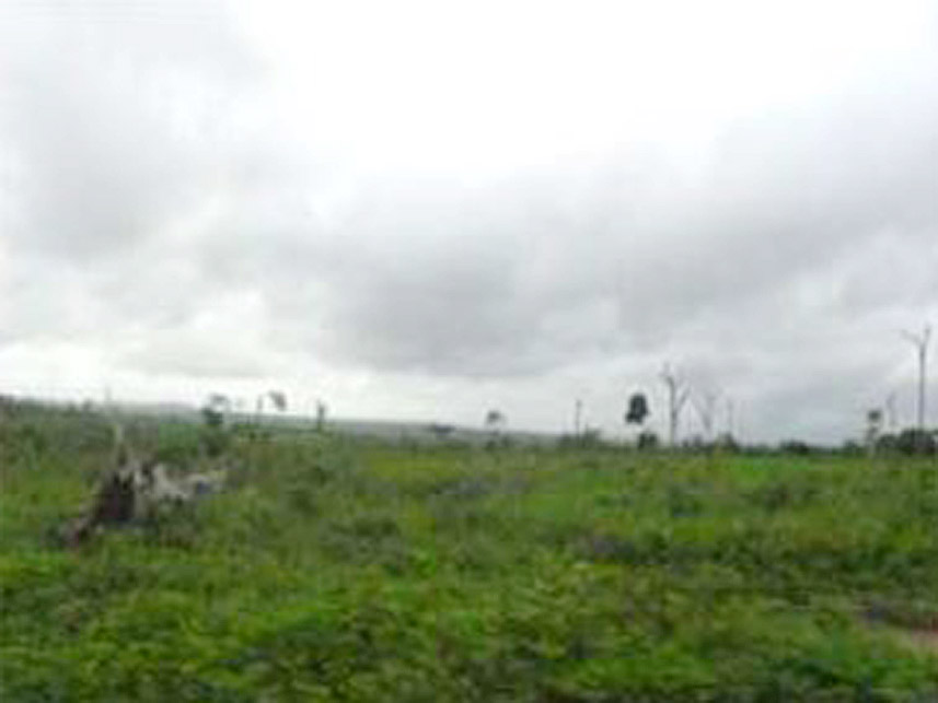 Imagem 1 do Leilão de Área Rural - Zona Rural - Centro Novo do Maranhão/MA