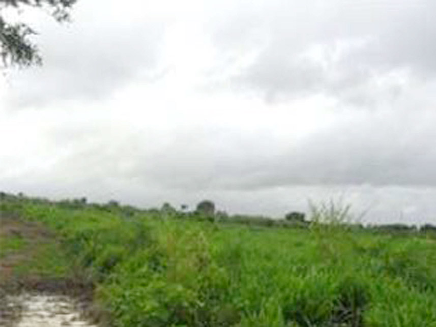 Imagem 6 do Leilão de Área Rural - Zona Rural - Centro Novo do Maranhão/MA