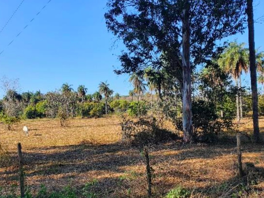 Imagem 8 do Leilão de Fazenda - Fazenda Campo Alegra - Jaboticatubas/MG