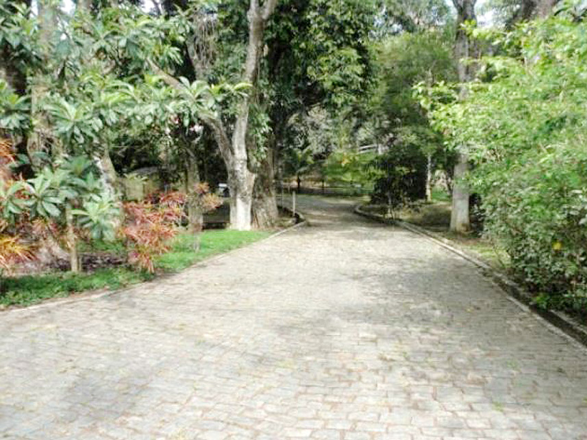 Imagem 5 do Leilão de Área Rural - Bairro Gulf - Comendador Levy Gasparian/RJ